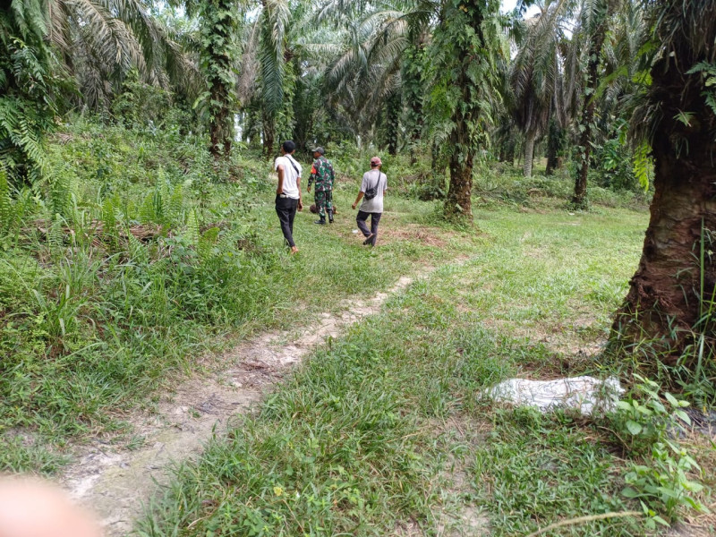 Serka M.Aslim Lubis Tekankan Bahaya Karhutla dan Hukuman Berat Bagi Pelaku