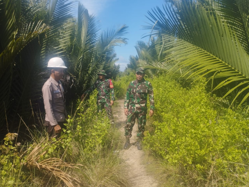 Babinsa Koramil 06/Merbau Intensifkan Patroli Karhutla di Desa Teluk Ketapang