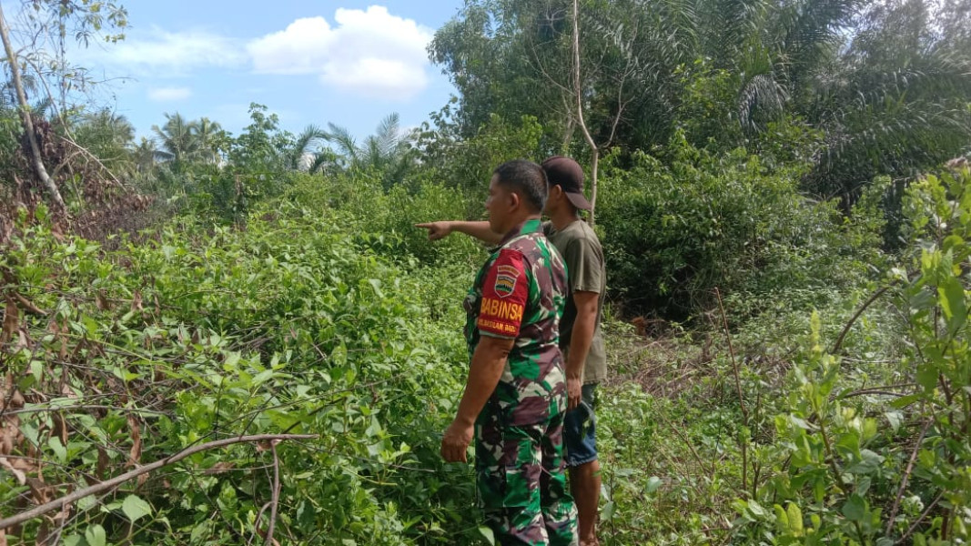 Sertu Jainal Arifin dari Koramil 03 Lakukan Patroli Rutin dan Sosialisasi untuk Hindari Kebakaran Hutan dan Lahan