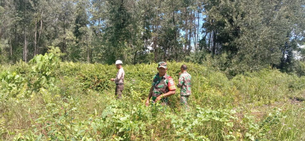 Babinsa Koramil 06/Merbau Patroli Cegah Karhutla di Desa Tanjung Padang