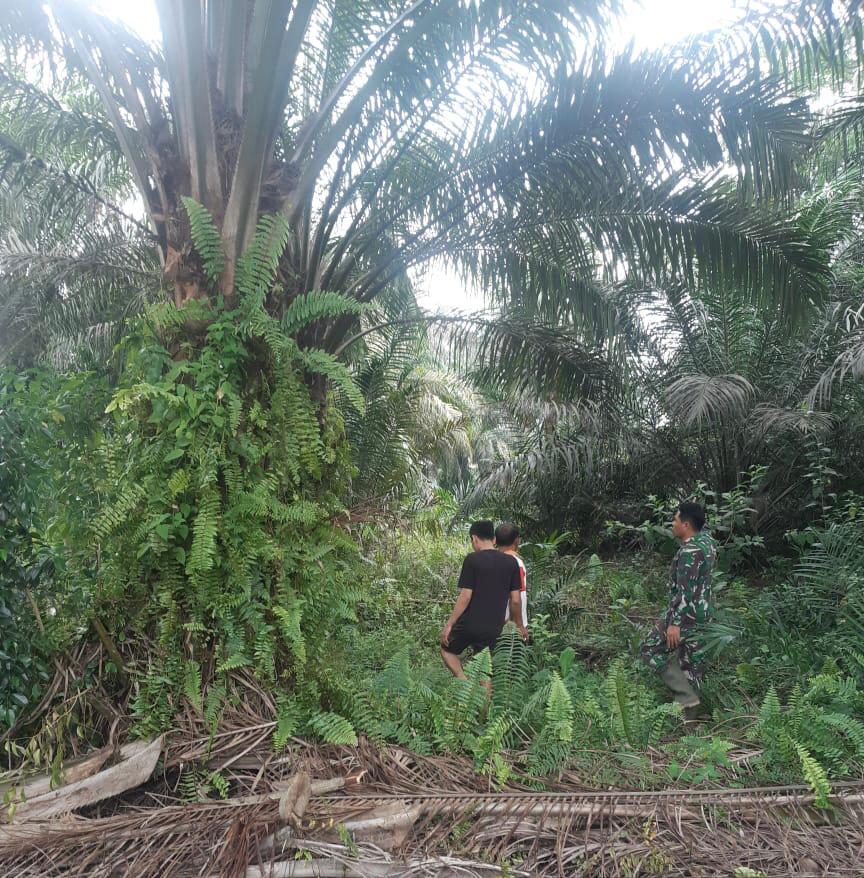 Dengan Komsos, Serma Novrianto Sampakan Larangan Membakar Lahan dan Hutan