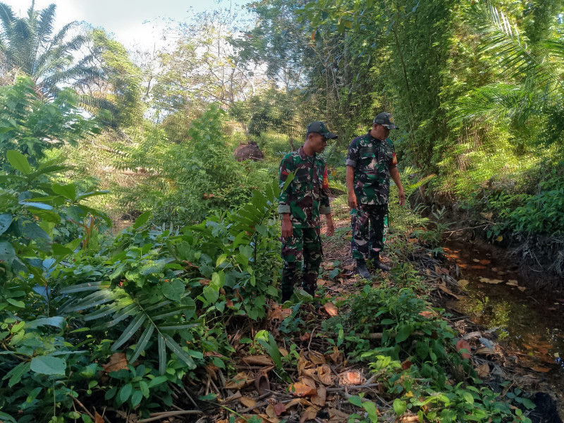 Sertu Purba Jelaskan Bahwa Membakar Hutan Adalah Pelanggaran Hukum yang Harus Dihindari