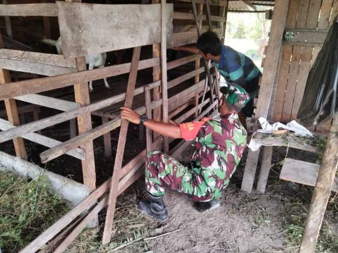 Giat Pencegahan PMK Oleh Sertu Sugianto