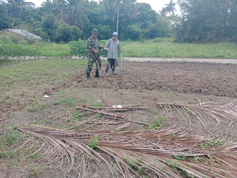 TNI Bantu Petani Atasi Kendala Pertanian, Wujudkan Ketahanan Pangan