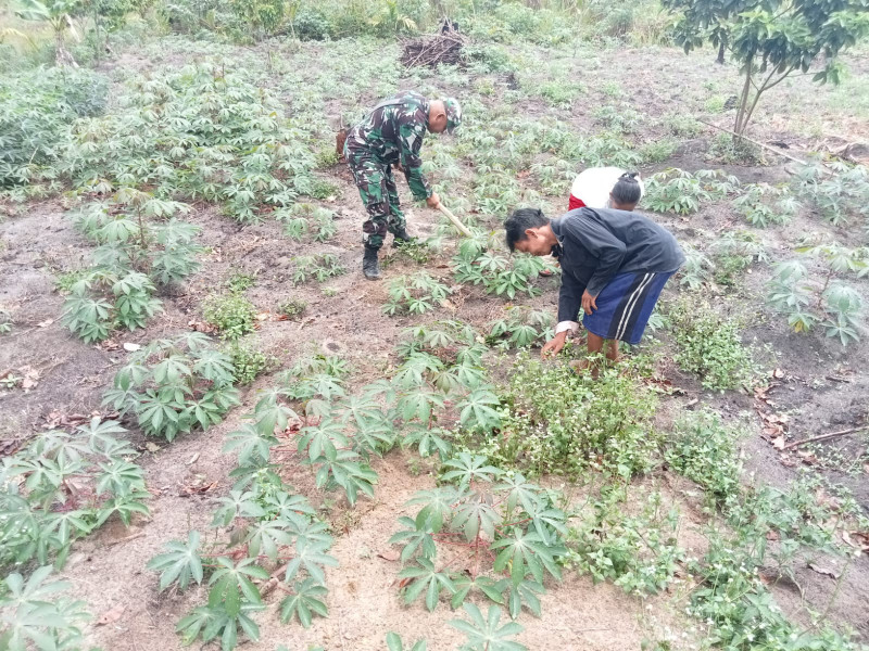 Serka Fahrizal Purba Dampingi Petani Yang Berada di Wilayah Binaannya