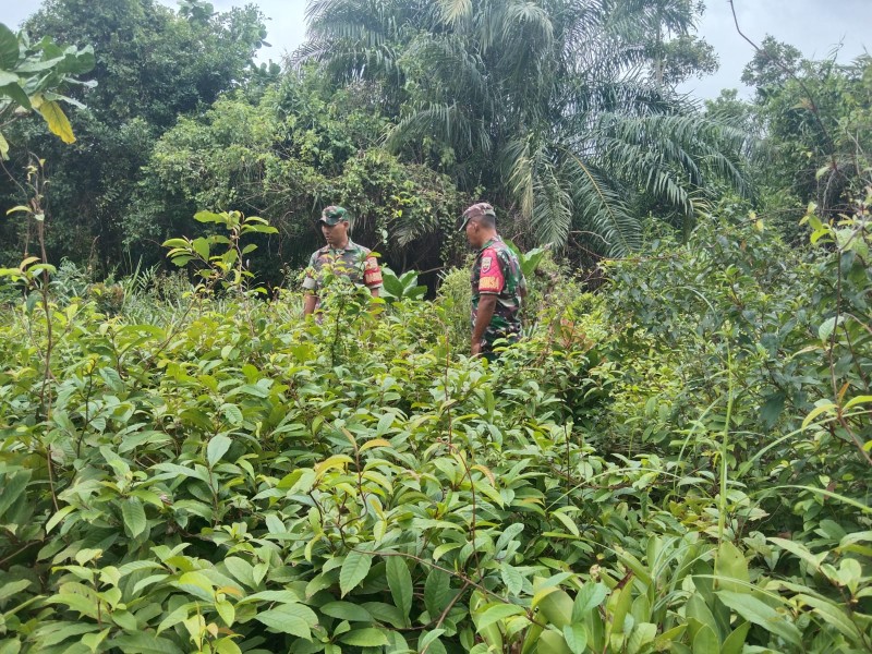 Sinergi Babinsa dan Warga, Jaga Desa Kudap dari Ancaman Kebakaran Hutan dan Lahan