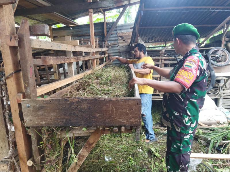 Sertu Abu Kosim dari Koramil-01/Dumai Laksanakan Cegah PMK dan Sampaikan Kandang Harus Bersih