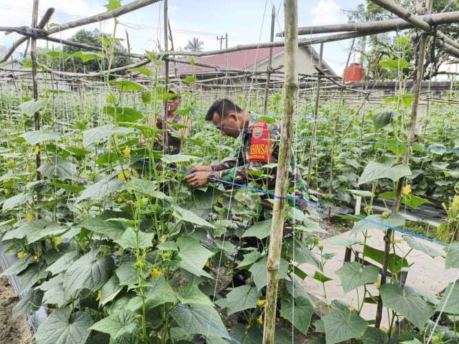 Serka Tomy Mike Dampingi Petani