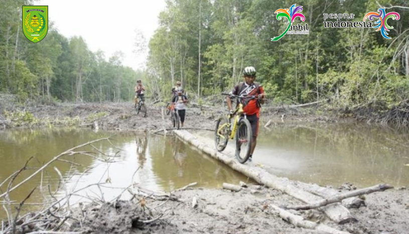 Menariknya Rawa Gambut di Pulau Cawan