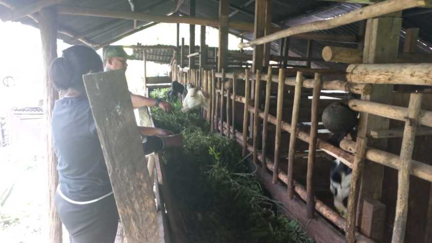 Melalui Babinsa Kampung Baru, Koramil 02 Sambangi Rumah Sukimin