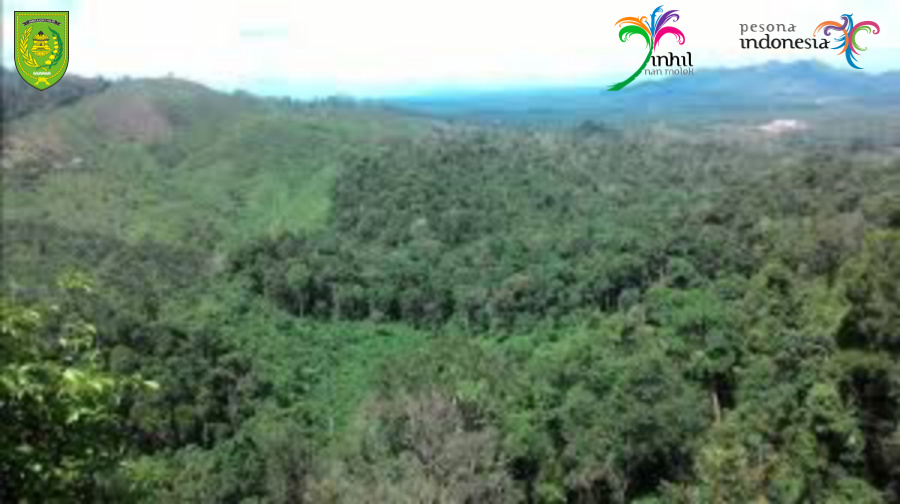 Menikmati Keindahan Alam Bukit Berbunga