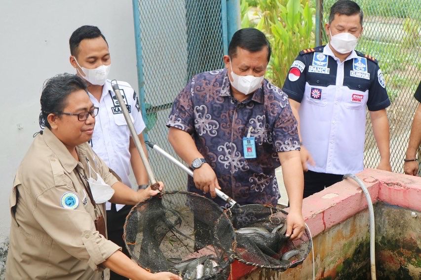 Panen Ikan Lele Bersama, Kadiv Pemasyarakatan Kanwil Kemenkumham Riau Kunjungi Rutan Dumai