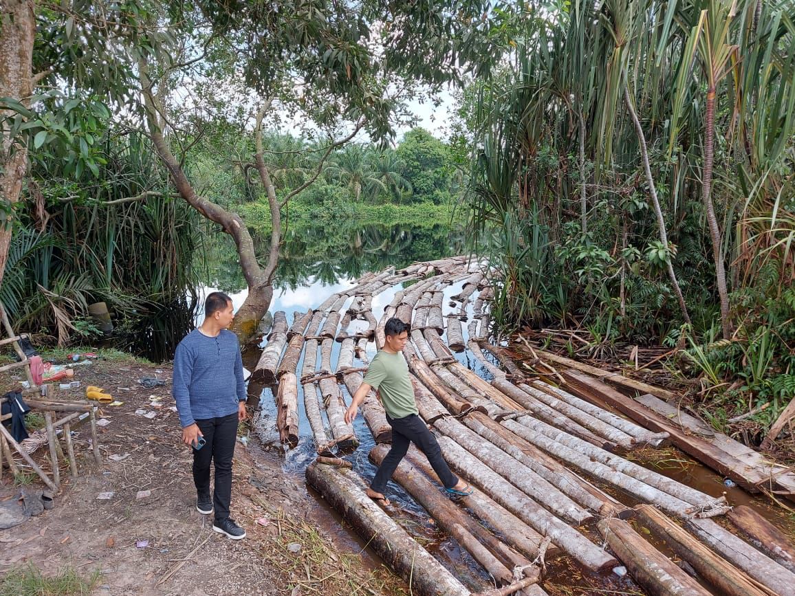 10 Ton Kayu Illegal Logging Diamankan dari Komplotan Mafia