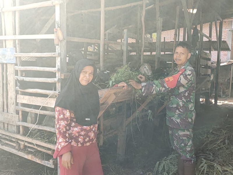 Cegah Penyakit Mulut dan Kuku, Babinsa Koramil 01/Dumai Dampingi Peternak Kambing