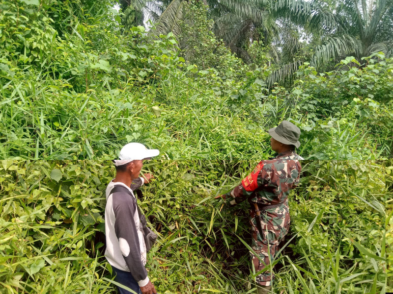 Koramil-01/Dumai Lakukan Patroli Cegah Karhutla dan Sosialisasi di Kelurahan Mekarsari