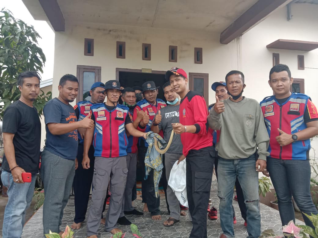 Ngeri, Seekor Ular Cobra Bersarang di Lemari Pakaian