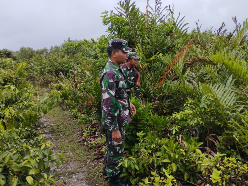 Babinsa Koramil 06/Merbau Gencarkan Patroli Cegah Karhutla di Renak Dungun
