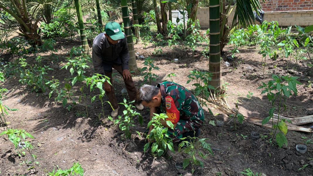 Serka Tomy Mike Dampingi Petani Untuk Jaga Ketahanan Pangan