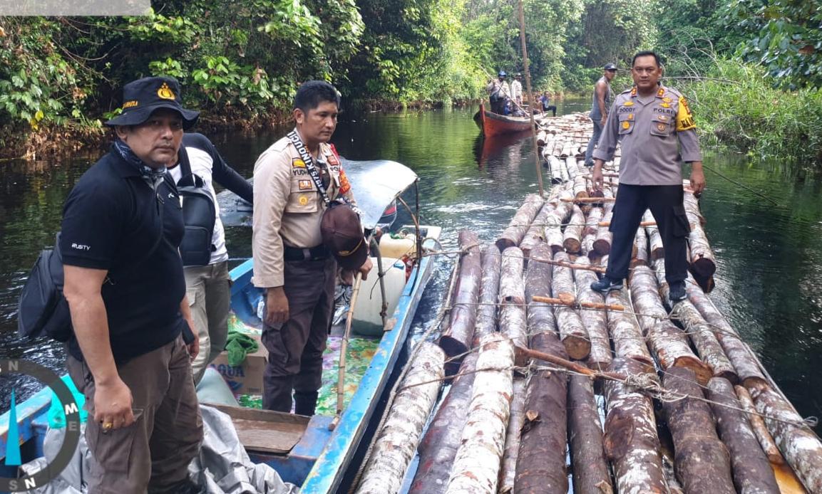Polisi Selidiki Dugaan Tindak Pidana Ilegal Logging di Kampung Rawa Mekar Jaya