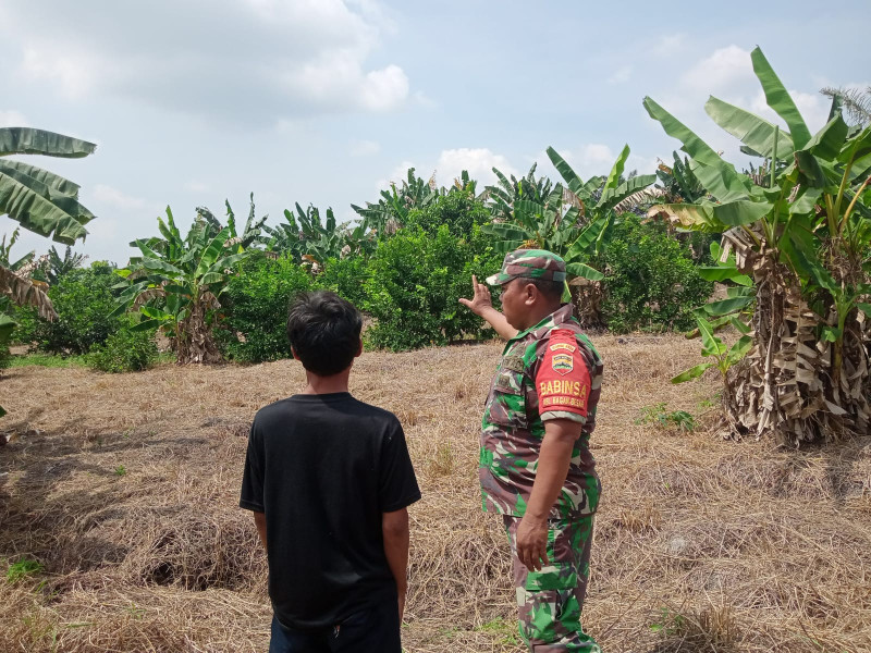 Sertu Sareh Tegaskan Larangan Membakar Hutan di RT 01 Bagan Besar