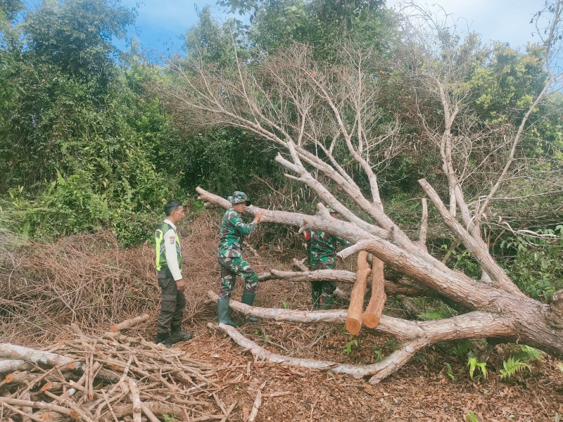 Serda Rian dan Pratu Roihan Intensifkan Patroli untuk Cegah Karhutla di Kecamatan Tasik Putri Puyu