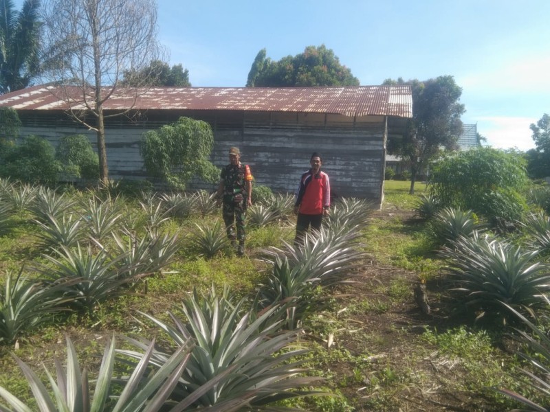 Serda Erwan Lakukan Ini Kepada Petani Binaan