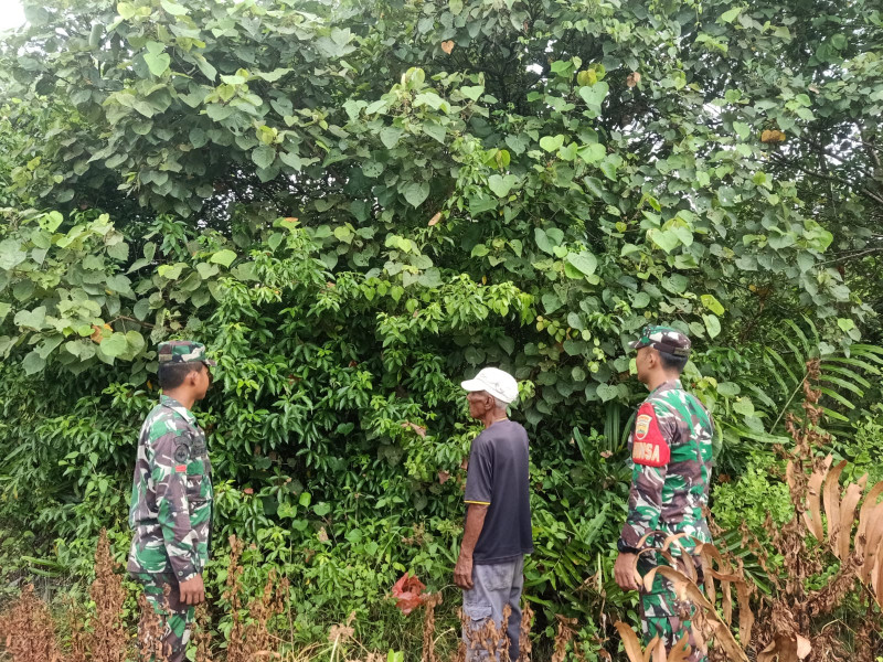 Babinsa Koramil 06/Merbau Gencar Sosialisasi dan Patroli Cegah Karhutla di Desa Tanjung Pisang