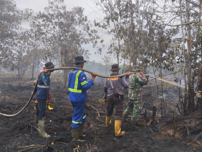 Tindakan Sigap Babinsa dan Unsur Terkait Padamkan Kebakaran 2 Hektar di Teluk Makmur