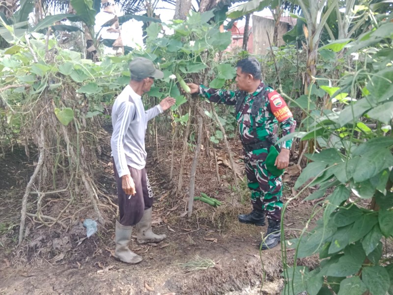 Cegah Karhutla, Babinsa Dumai Barat Tegaskan Larangan Buka Lahan dengan Membakar