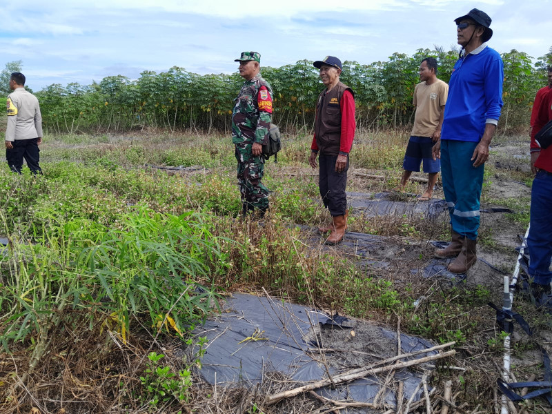 Serma Fahrizal Purba Patroli Karhutla di Wilayah Rawan RT 6 Dumai Selatan