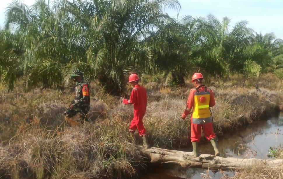 PT RUJ Berpatroli Cegah Karhutla Bersama Babinsa Baru Teritip