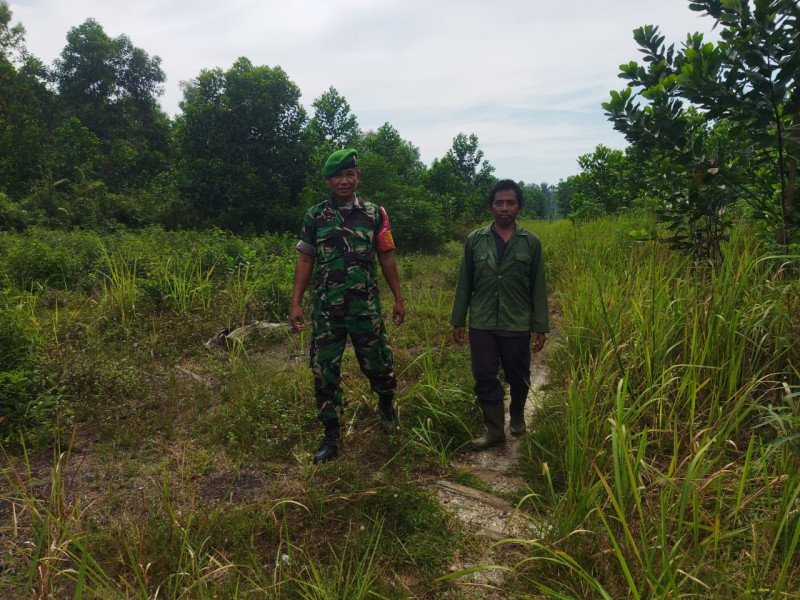 Patroli Rutin Babinsa Kelurahan Ratu Sima Antisipasi Kebakaran Hutan