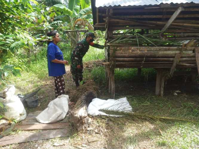 Babinsa Dumai Kota Dampingi Peternak