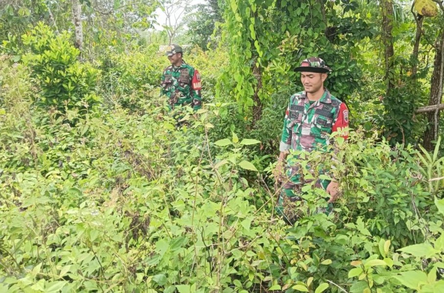 Babinsa Koramil 06/Merbau Gencar Patroli Cegah Karhutla di Desa Tanjung Kulim
