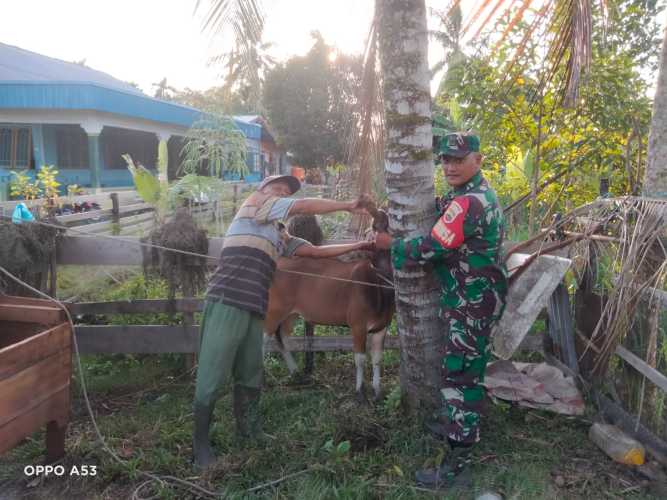 Giat Serda Ansari Cegah PMK