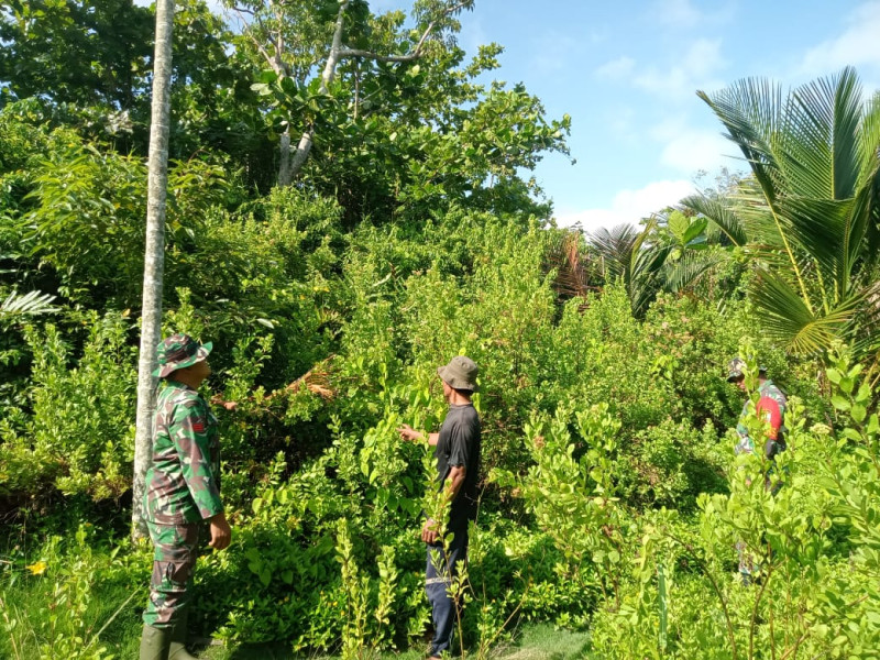 Upaya Konkret Koramil 06/Merbau dalam Mencegah Kebakaran Hutan dan Lahan, Patroli Rutin dan Himbauan Aktif kepada Masyarakat