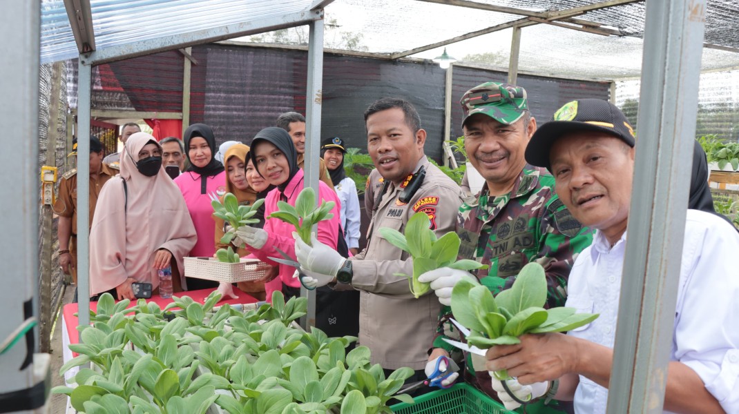 Polres Kep Meranti Launching Penguatan Program Pekarangan Pangan Lestari