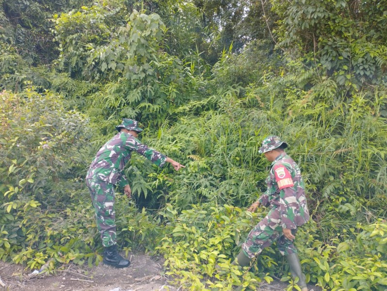 Babinsa Koramil 06/Merbau Gencarkan Patroli dan Sosialisasi Karhutla di Desa Ketapang Permai