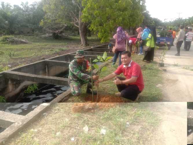 Babinsa Koramil PWK 04 Ikuti Penanaman Pohon Tabebuya