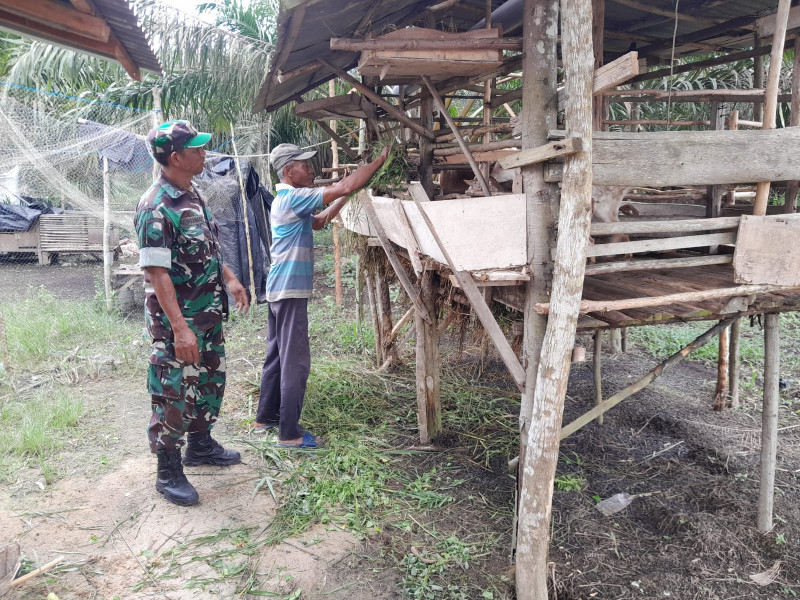 Serka M Aslim Lubis Himbau Peternak Mengenai Ini