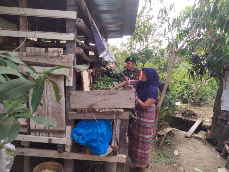 Babinsa Dumai Barat, Sertu Sugianto Dampingi Peternak Kambing dan Sosialisasikan Pencegahan PMK