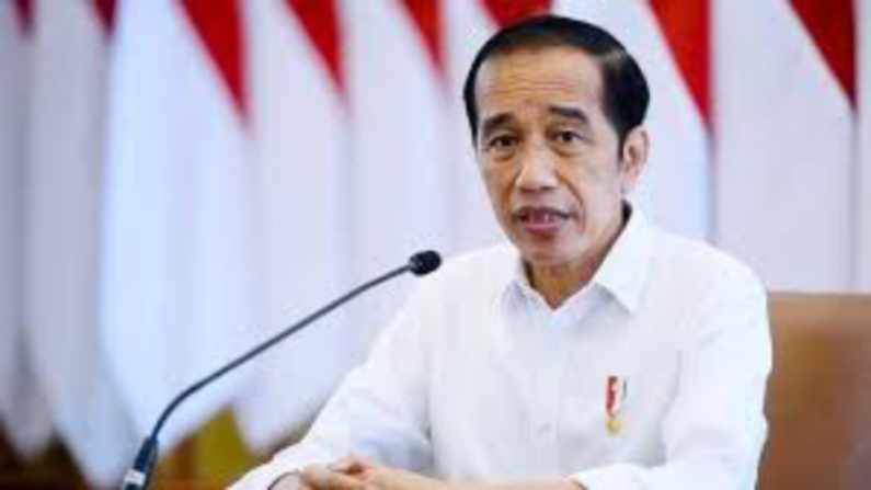 Produsen Batu Bara-CPO Disentil Jokowi, Ada Apa?