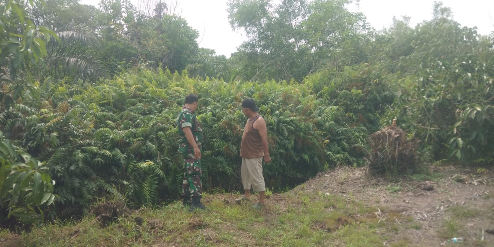 Babinsa Koramil-01/Dumai Tekan Risiko Karhutla Melalui Patroli Rutin