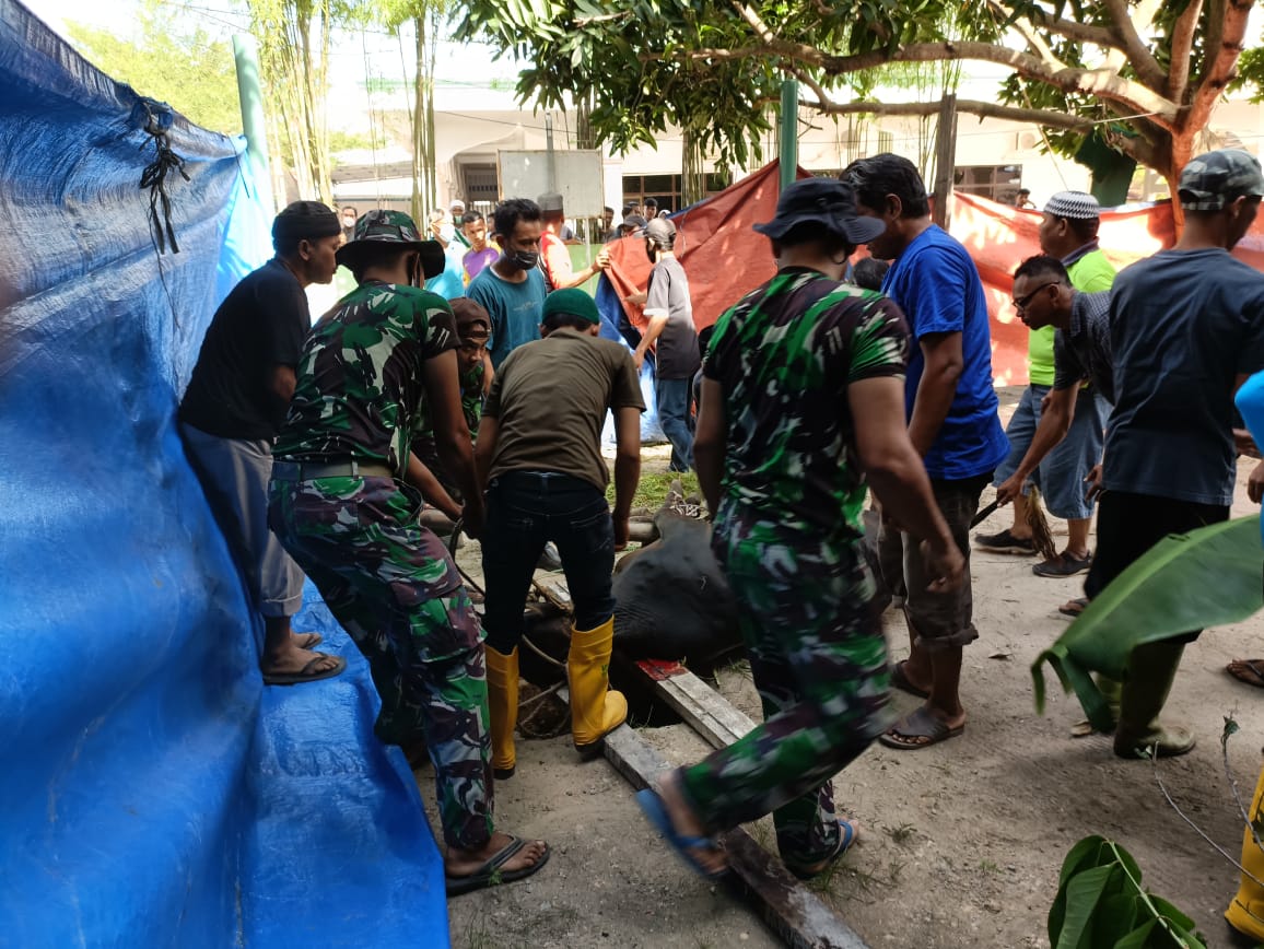 Letkol arh Hermansyah Tarigan Potong Hewan Kurban