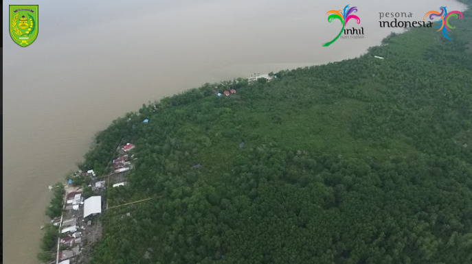 Indahnya Ekowisata Hutan Mangrove Pulau Cawan dari Udara