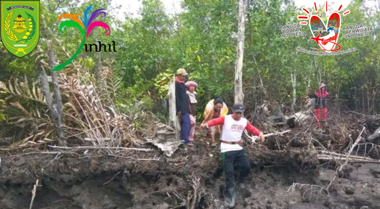 GALERI: Ekowisata Mangrove Inhil Benar-benar Memiliki Potensi