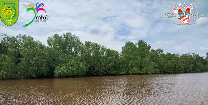 GALERI: Ekowisata Mangrove Inhil Benar-benar Memiliki Potensi