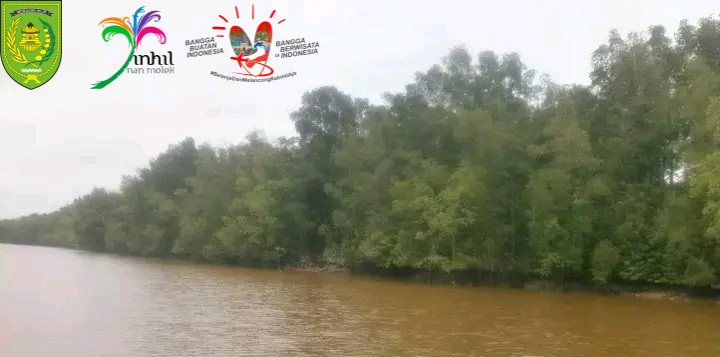 GALERI: Ekowisata Mangrove Inhil Benar-benar Memiliki Potensi