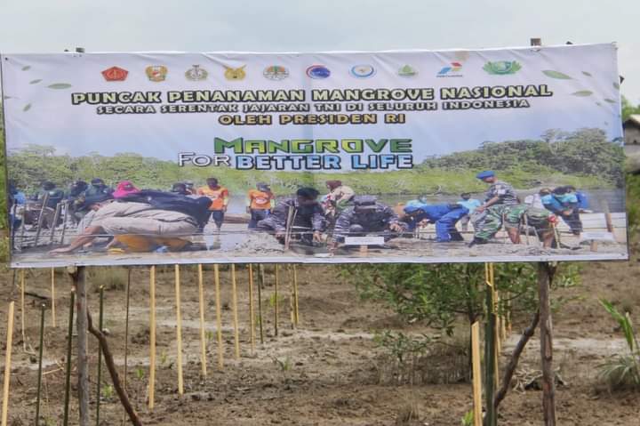 Mewakili Bupati, Asisten III Setdakab Inhil Hadiri Acara Puncak Penanaman Mangrove Nasional