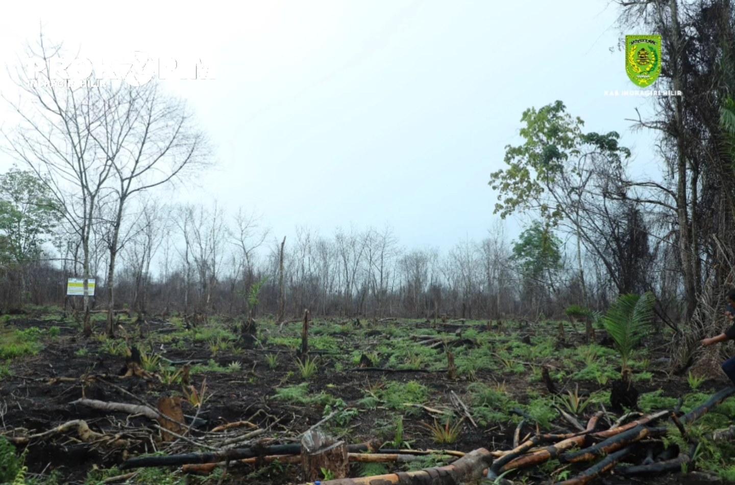 Bupati Inhil Menghadiri Pemasangan Plang / Papan Peringatan di Desa Bayas Jaya